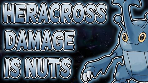 heracross build